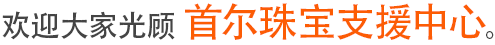 欢迎大家光顾首尔珠宝支援中心。